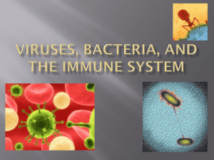 Viruses, Bacteria, and the Immune System