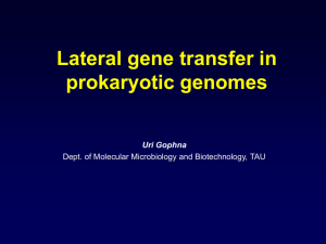 Lateral gene transfer in prokaryotic genomes: which genes are