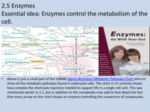 Topic 2.5 Enzymes