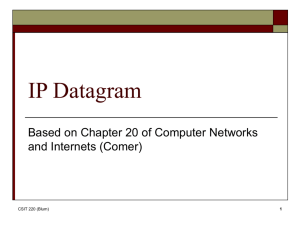 IP Datagram - La Salle University