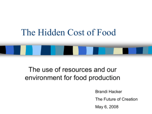 PowerPoint Presentation - The Hidden Cost of Food