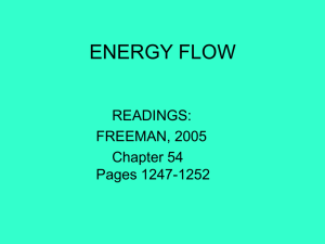 Lecture 10: Energy Flow