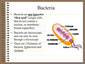 Helpful Bacteria