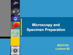 Microscopy - Université d'Ottawa