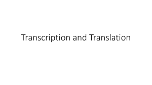 Transcription and Translation - Riverside Preparatory High School