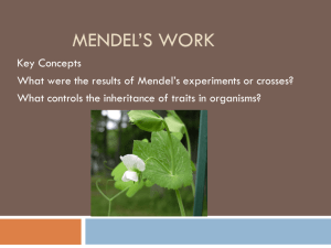 Mendel's Work - ScienceRocks8