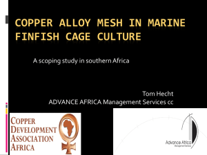 Copper Alloy mesh in marine finfish cage culture