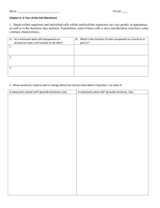 Name: Period: ____ Chapter 6. A Tour of the Cell Worksheet 1