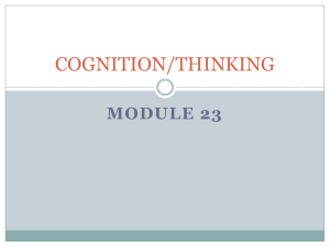 COGNITION/THINKING