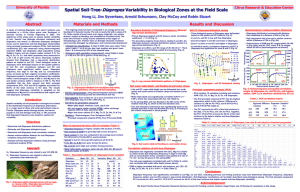 Spatial Soil-Tree-Diaprepes Variability in Biological Zones at the