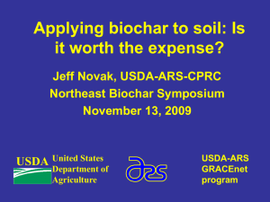 Applying biochar to soil: Is it worth the expense?