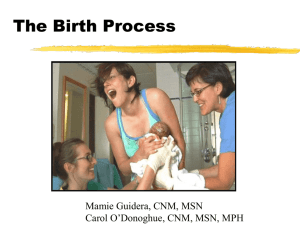 The Birth Process