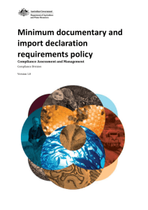 Minimum documentary and import declaration requirements policy