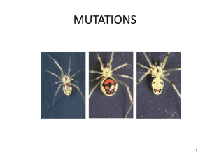 Mutations - materi-kuliah
