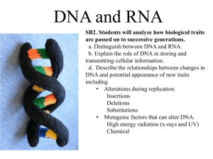 The Central Dogma