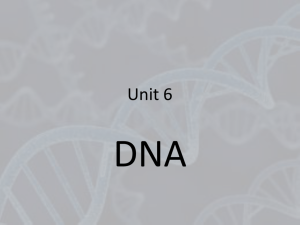 Unit 6-DNA powerpoint