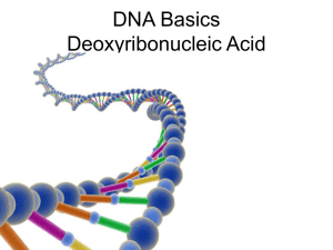 http://www.fed.cuhk.edu.hk/~johnson/teaching/genetics/animation