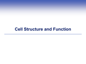 Lecture 5 – Cell Structure and Function