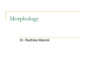 Morphology-new-lecture5