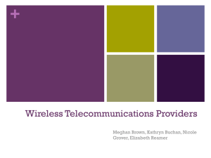 Wireless Telephone Providers