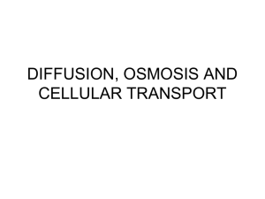 DIFFUSION, OSMOSIS AND CELLULAR TRANSPORT