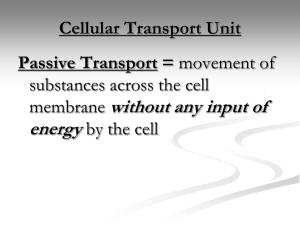 Cellular Transport Unit Passive Transport
