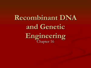 Recombinant DNA and Genetic Engineering