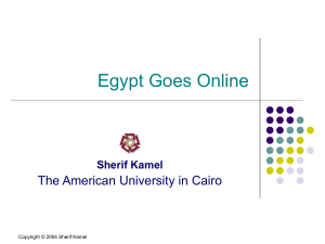Sherif Kamel - The American University in Cairo