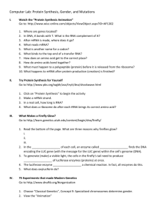 Computer Lab: Protein Synthesis, Gender, and Mutations Watch the