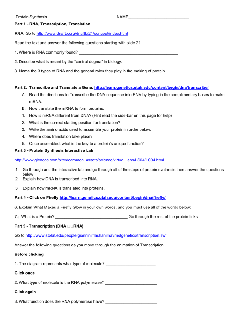 Protein Synthesis Web Quest For 2 Cowan Science