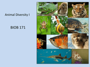 Animal Diversity I - Think. Biologically.