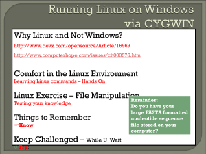 Running Linux in Windows