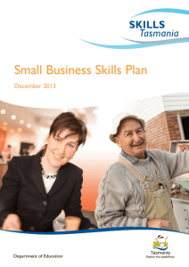 Small Business Skills Plan