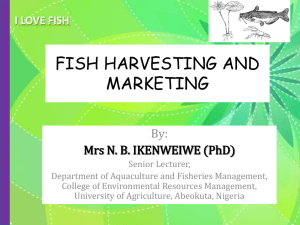 Harvesting and Marketing of Fish