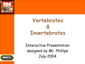 Vertebrates & Invertebrates