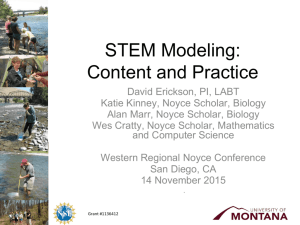 STEM Modeling: Content and Practice