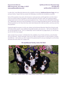 Spellbound Puppy Questionnaire