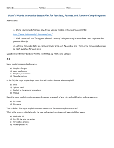 Lesson plan and Scavenger Hunt for ages 12 to