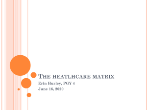 Erin Hurley-Presentation on Health Care Matrix