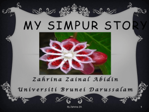 Simpur Story