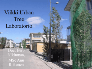 Viikki Urban Street Tree Laboratory