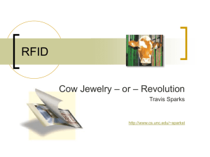 Cow Jewelry or Revolution