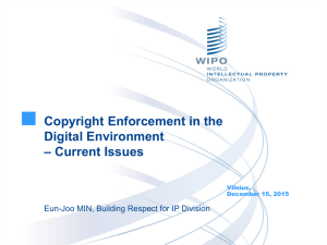 Copyright Enforcement in the Digital Environment – Current Issues