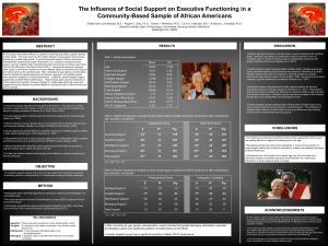 The Influence of Social Support on Executive