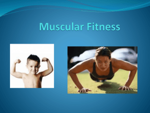 Muscular Strength and Endurance PP