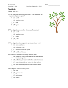 Plant Quiz 20.1 - 21.2
