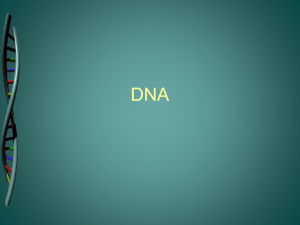 DNA and Protein synthesis