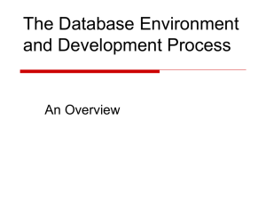 The Database Environment A Basic Overview