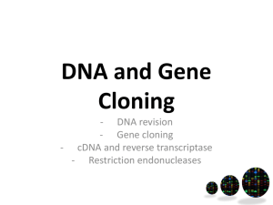 1 2 3 DNA recap, reverse transcriptase, restriction