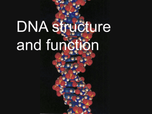 DNA 101 intro